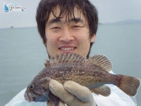 석천 바다낚시 석천항배낚시 7월24일 임해호조황정보 -1 임해호 조황정보  [경기 - 화성시] - 낚시배닷컴