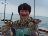 석천 바다낚시 석천항배낚시 7월24일 임해호 조황정보 -2 임해호 조황정보  [경기 - 화성시] - 낚시배닷컴