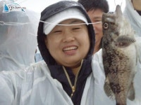 석천 바다낚시 석천항배낚시 7월24일 임해호 조황정보 -2 임해호 조황정보  [경기 - 화성시] - 낚시배닷컴