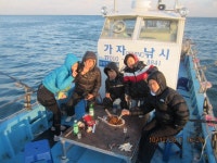 포항 선상낚시 포항선상낚시 포항양포  선상체험고등어(민박)..... 가자피싱호 조황정보  [경북 - 포항시] - 낚시배닷컴