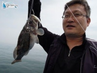 	신진도낚시배  신진도신흥호[충남 태안군 - 신진도항] :: 낚시배닷컴 낚시배 