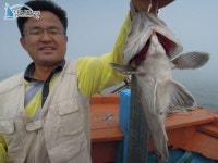 	신진도낚시배  신진도신흥호[충남 태안군 - 신진도항] :: 낚시배닷컴 낚시배 