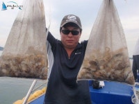 안면도영목항 바다낚시 안면도 9월27일 조황입니다 피싱스타호 조황정보  [충남 - 태안군] - 낚시배닷컴