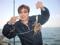 영흥도항 우럭낚시 2014년10월12일쭈꾸미조황 흥성호 조황정보  [인천 - 옹진군] - 낚시배닷컴
