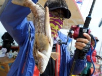 전곡항 배낚시 5월17일 레인보우호조항 굿!!! 레인보우 조황정보  [경기 - 화성시] - 낚시배닷컴