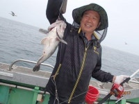 안흥 바다낚시 6/10근해 조황입니디.. 안흥1호 조황정보  [충남 - 태안군] - 낚시배닷컴::