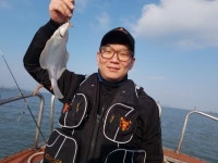 이희경  ★★목포도다리낚시 3/9일 대박오늘도(세븐호)  목포세븐호 조황정보  [전남 - 목포시] - 낚시배닷컴