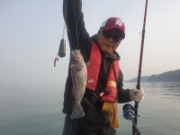 태안 바다낚시 5월4일 조황정보 상록호 조황정보  [충남 - 태안군] - 낚시배닷컴