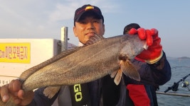 	목포도다리낚시  목화호[전남 목포시 - 목포북항] :: 낚시배닷컴 도다리낚시 