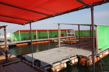 선상낚시배닷컴