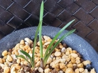 난나라직거래에 오신 것을 환영합니다.