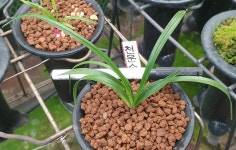 난나라직거래에 오신 것을 환영합니다.