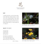 텐바이텐 10X10 : [Eco Candle] 들꽃 265g - 밤부캔들, 소이캔들