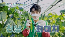 TV CHOSUN 