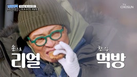 낭만비박 집단가출