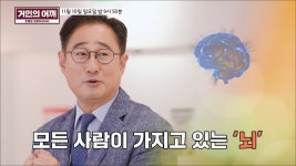 거인의 어깨