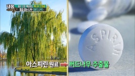 내 몸 사용 설명서 명장면 상세 내 몸 사용 설명서 105회 - 뱃살 꼬집었을 때 위험한 배가 따로 있다?!