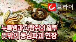 내 몸 사용 설명서 명장면 상세 내 몸 사용 설명서 206회 - 근력 약한 중장년층 안성맞춤! 편안하게 할 수 있는 특급 운동