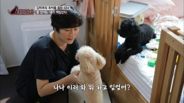 TV CHOSUN 