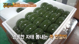 정보통 광화문 640 명장면