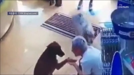 신통방통 명장면 상세 신통방통 1548회 - 줄임말 엄근진·지옥고 물었더니…황교안의 대답은?