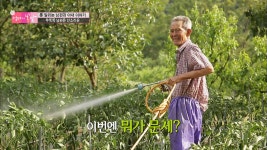 엄마의 봄날 명장면 상세 엄마의 봄날 49회 - 해남 낙지잡이 중 ※돌발상황 발생※