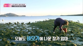 엄마의 봄날 명장면 상세 엄마의 봄날 78회 - 산골 부부의 필수품은 폭죽?! 제발 오지 좀 마!