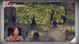 모란봉 클럽 명장면 상세 모란봉 클럽 12회 - 환자인가 간호사인가...? 끔찍한 수술실!!