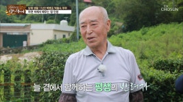 스타다큐 마이웨이 명장면 상세 인생다큐 마이웨이 168회 - 꼬마요리사 노희지가 갑자기 활동 중단하게 된 이유.. TV CHOSUN 20210221 방송