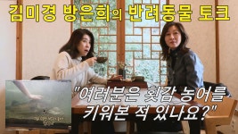 인생다큐 마이웨이 명장면 상세 인생다큐 마이웨이 15회 - [선공개] 김미경 방은희의 반려동물 토크
