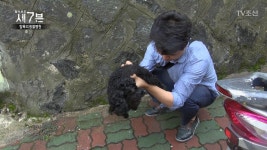 탐사보도 세븐 명장면 상세 탐사보도 세븐 1회 - 동물병원에서 일어나는 수술의 실체!