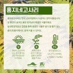 식물관리 가이드 : 한국수목원정원관리원 > 주요사업 > 식물관리&상담 > 식물관리 가이드 한국수목원정원관리원