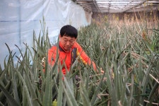 공주 문화관광 
