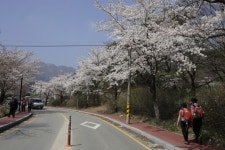 공주 문화관광 