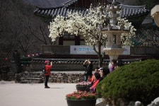 공주 문화관광 