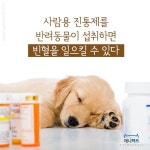 [애니팩트] 사람용 진통제는 반려동물에게 빈혈을 유발한다 | 한국일보