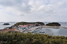 [홍성 죽도]대숲과 속삭이는 바닷바람…입 안의 굴 향은 덤! | 한국일보