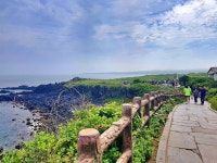 [렌즈로 보는 일상] 제주의 여름 | 한국일보