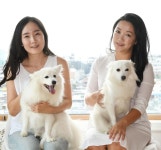 “평생 사료를? 반려견에게 신선한 자연식을 먹이세요” | 한국일보