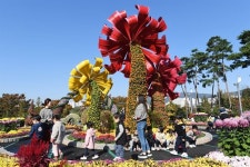 유엔평화공원서 국화전시회 | 한국일보