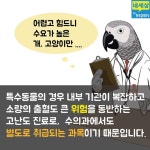 카드뉴스 정말로 그 동물병원 인가요 | 한국경제TV 카드뉴스 정말로 그 동물병원 인가요
