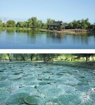 [교과서 여행] 백제의 단아한 멋 품은, 우리나라 최초 인공 연못 - 프리미엄조선 [교과서 여행] 백제의 단아한 멋 품은, 우리나라 최초 인공 연못