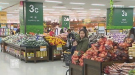 겨울잠 깨니 ‘로드킬’…섬진강 두꺼비 떼죽음 > 뉴스광장 > 사회 > 뉴스 | KBSNEWS 겨울잠 깨니 ‘로드킬’…섬진강 두꺼비 떼죽음