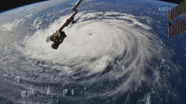 제주도 “대안 마련 때까지 비자림로 공사 중단” > 뉴스 7 > 사회 > 뉴스 | KBSNEWS 제주도 “대안 마련 때까지 비자림로 공사 중단”