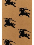 WizWid 버버리 BURBERRY SCIARPE E FOULARD 8072080 A1420