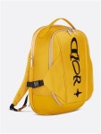 Dior | 크리스챤 디올 SS25 ZAINO 1LHBA213LWH Yellow & Orange 크리스챤 디올 SS25 ZAINO 1LHBA213LWH Yellow & Orange