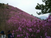 창원  천주산