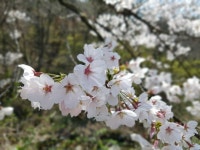 모악산