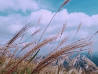 증산제2공원-민둥산정상