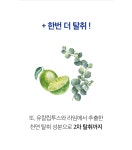 [유통기한임박] 깔끔상회 쇼파 러그 장농 가구클리너 | 깔끔상회 | 꽃피는아침마을